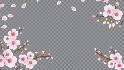 Flying sakura flowers. Design element for fabric, invitations, packaging, cards. Handmade background in oriental style. Magenta on transparent background.