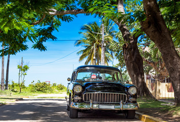 Amerikanischer schwarzer Oldtimer parkt in der Seitenstrasse nahe des Strandes unter Bäumen in Havanna City Cuba - Serie Kuba Reportage - 251590698
