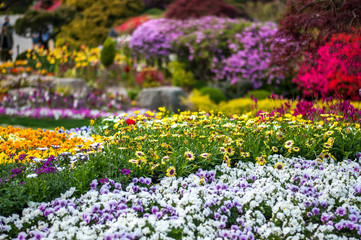 Landscape photo of a wide variety of pretty and colourful flower beds in the 