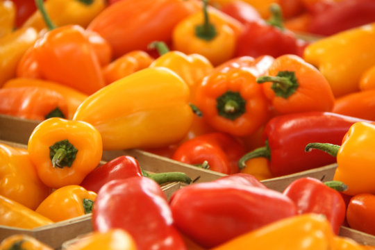 Closeup Of Colorful Sweet Mini Peppers in Baskets