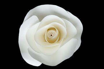 Paper flower. White rose from paper on black background.
