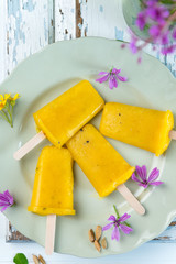 vegan Popsicle 