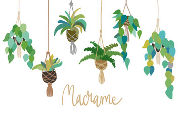 Obraz premium Urban interior house plants in decorative pots macrame hanger vector illustration. Hand drawn art succulents cacti ficus tropical plants in scandinavian minimal style. Lettering phrase Home sweet home