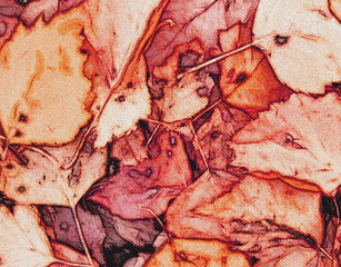 Original , decorative background. Nature. Illustration. Autumn leaves.