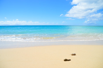 Plage paradisiaque