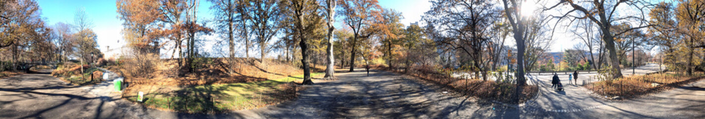 Panoramic view of Central Park on a beautiful winter day, New York City