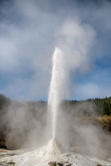 Lady Knox Geyser erupting, Wai-O-Tapu, New Zealand