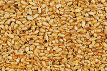 Kozinaki from golden, roasted sunflower seeds as a background, texture. Macro shooting,