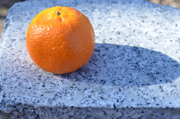 foto Sobieniak
