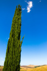 Summer view of Crete Senesi in Tuscany, Italy