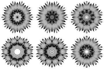 Set of Pattern Of Mandala . Vector Illustration. Modern Decorative Floral Color Mandala. Decorative Cicle Ornament. Floral Design. Black white color