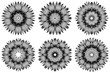Set of Pattern Of Mandala . Vector Illustration. Modern Decorative Floral Color Mandala. Decorative Cicle Ornament. Floral Design. Black white color