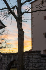 old castle in the morning