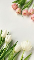 Spring tulips on a white table