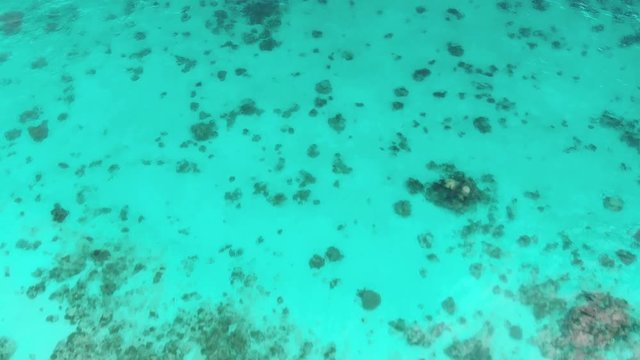 Aerial footage of coral reef in Philippines. Turquoise water, stunning view, snorkeling, swimming / 4K Drone Video