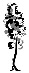 Single tree sketch. Black and white drawing isolated on white background. Simple art. Can be used for card banner template. illustration