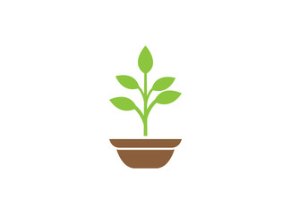 Plant in the Pot with some leaves for logo design illustration