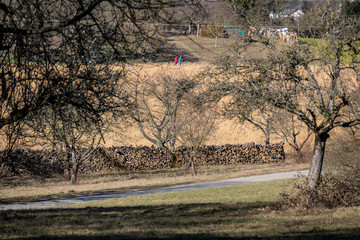 Brennholz aufgeschichtet © focus finder