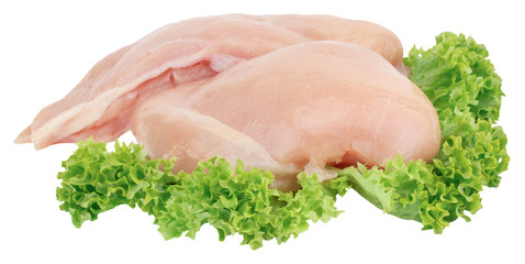 Raw chicken breast fillets with lettuce isolated on white background