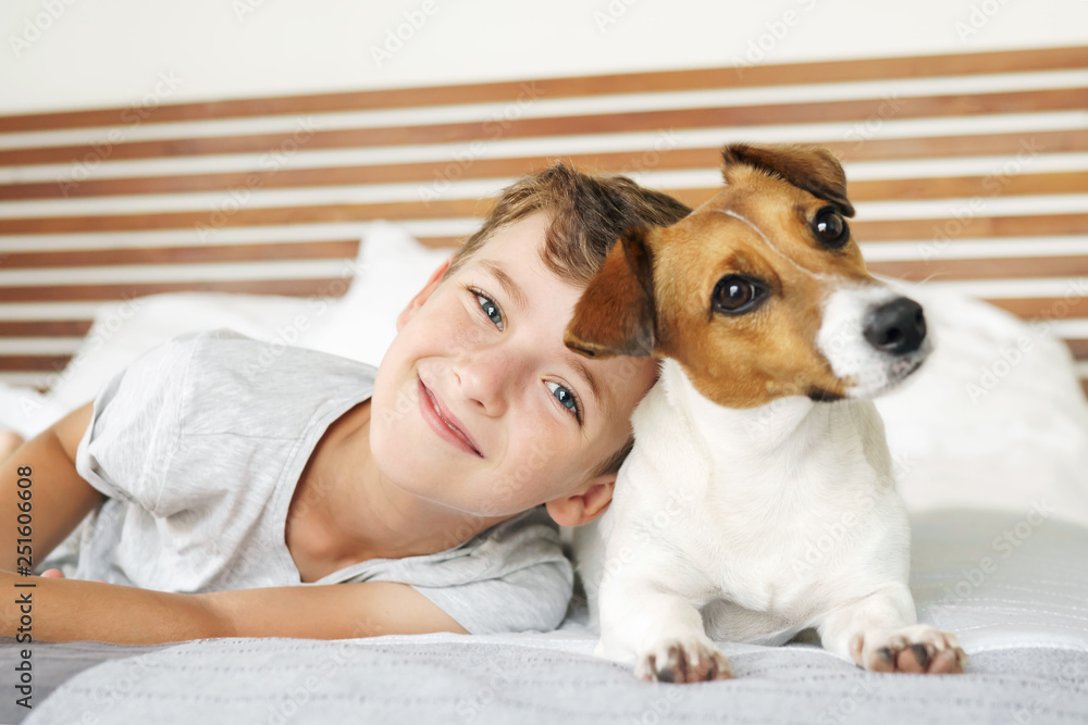 Wall mural happy boy playing with his dog, jack russell terrier, waking up early in the morning, in a bed in wh