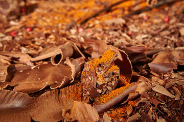 Schokoladenmanufaktur