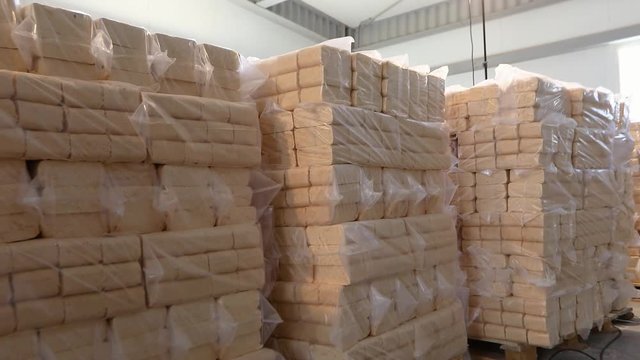 Warehouse of fuel briquettes, a lot of fuel briquettes in stock, alternate type of fuel