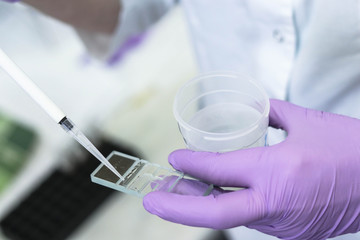 Application of urine and sperm samples in Goryaev's chamber. Clinical study of urine and sperm...