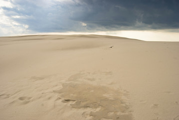 Fototapeta na wymiar Sand in the desert, Sahara, Africa