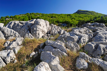 Karst im Nationalpark Lovćen