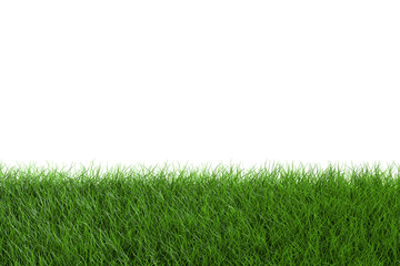 Border of Green Grass and Tufts in Spring on White