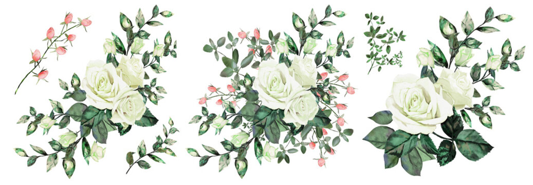 Set of floral arrangements. Watercolor drawing of twigs with leaves and flowers. Botanical illustration. Composition of white roses and wild flowers.