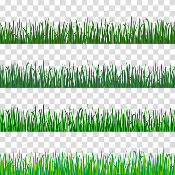 Green grass  vector pattern.