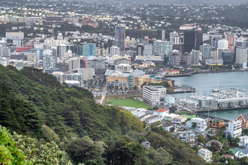 Obraz premium Wellington aerial view, New Zealand