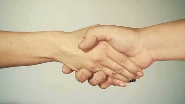 female and male handshake. conclusion of an agreement