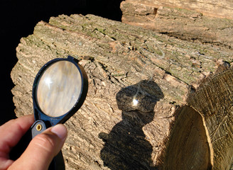 Magnifying glass starting fire