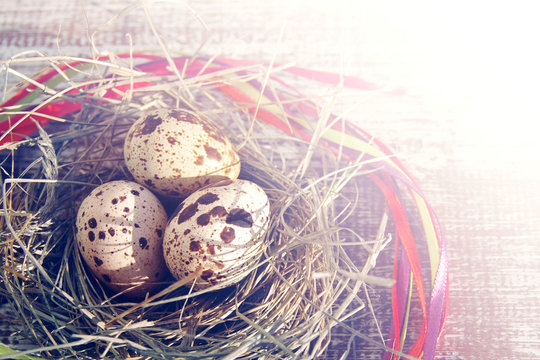 Three guail eggs in a decorative nest on the wooden table. Easter concept