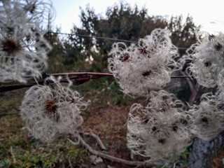 Fondo paisaje amanecer  frio