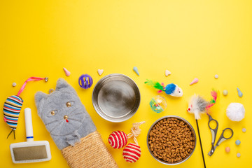 Zoomarket and pet store.Catty background, with cat accessories on a yellow background.Cat .Flat-lay