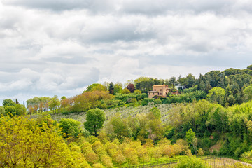 Fototapeta na wymiar Fruit tree cultivation with a farmhouse in Tuscany