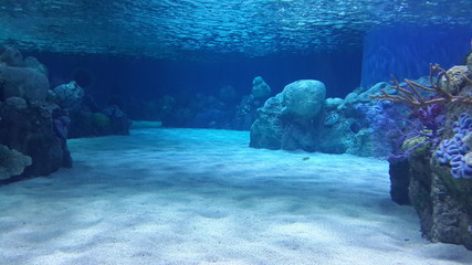 Jerusalem Aquarium pre-opening (no fish yet)