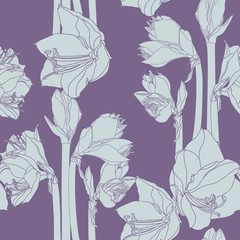 Fototapeta premium Hippeastrum lilly blooming flowers seamless pattern. Grey line flowers on violet background.