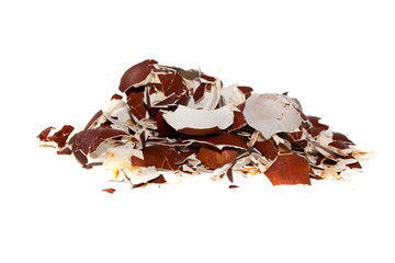 eggshell isolated on white background