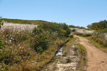 road in the countryside