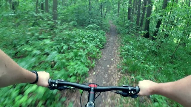 bicyclist rides by the forest path, action cam view
