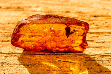 Amber in sun with inclusions