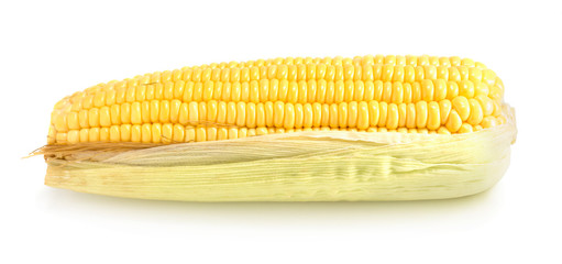 corn isolated