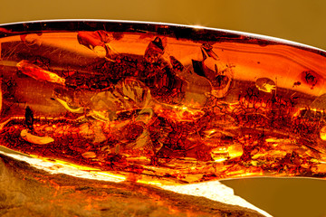 Amber in sun with inclusions