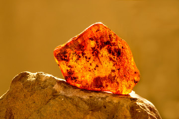 Amber in sun with inclusions