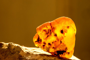 Amber in sun with inclusions