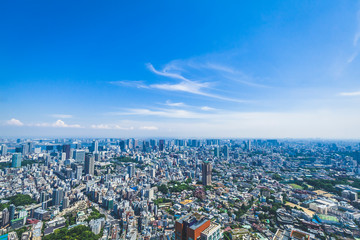 Fototapeta premium Japonia Tokio Roppongi miasto budynki miejski krajobraz widok z lotu ptaka dzień czas czysta pogoda